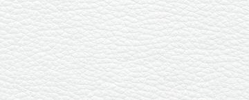 Eco-Leather